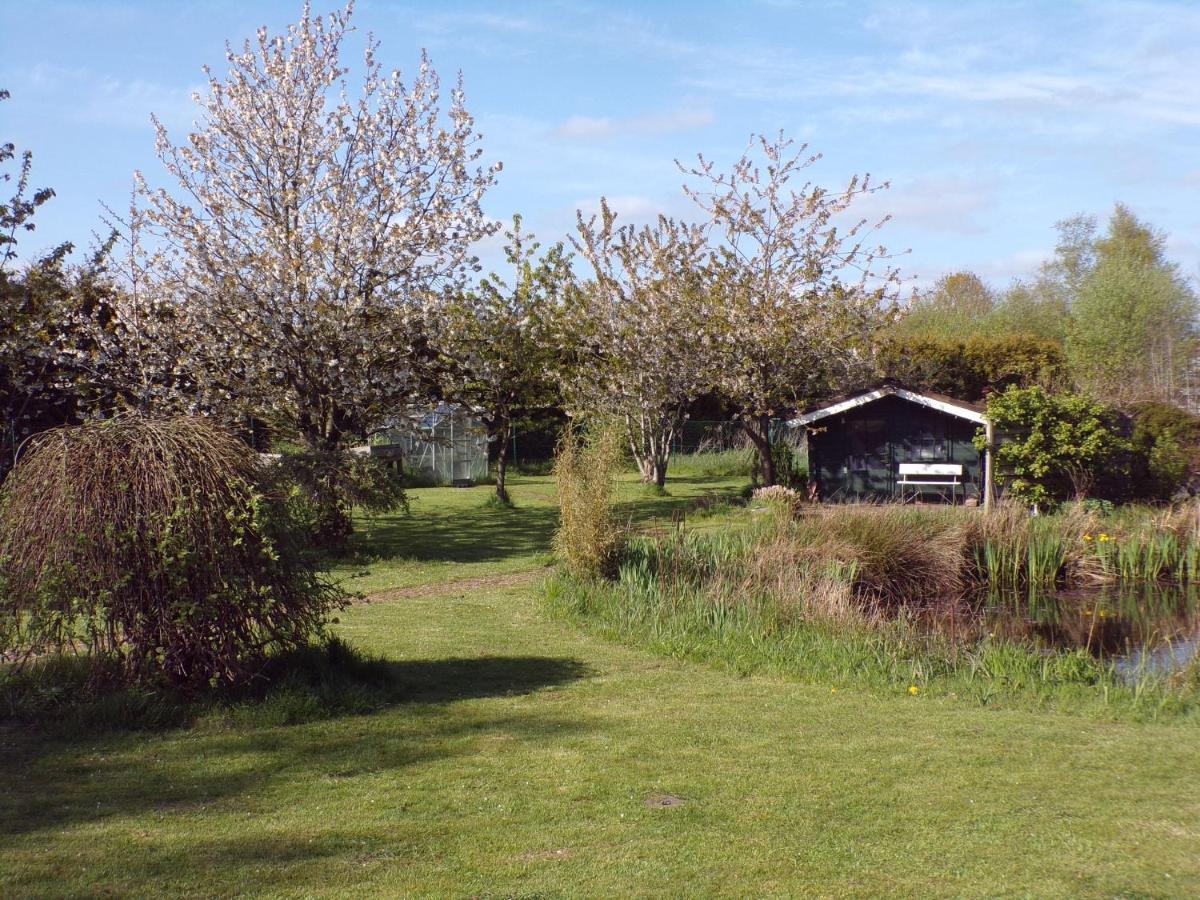 Ferienwohnung Aurich Sandhorst Eg Mit Terrasse Und Kleinem Garten Eksteriør billede