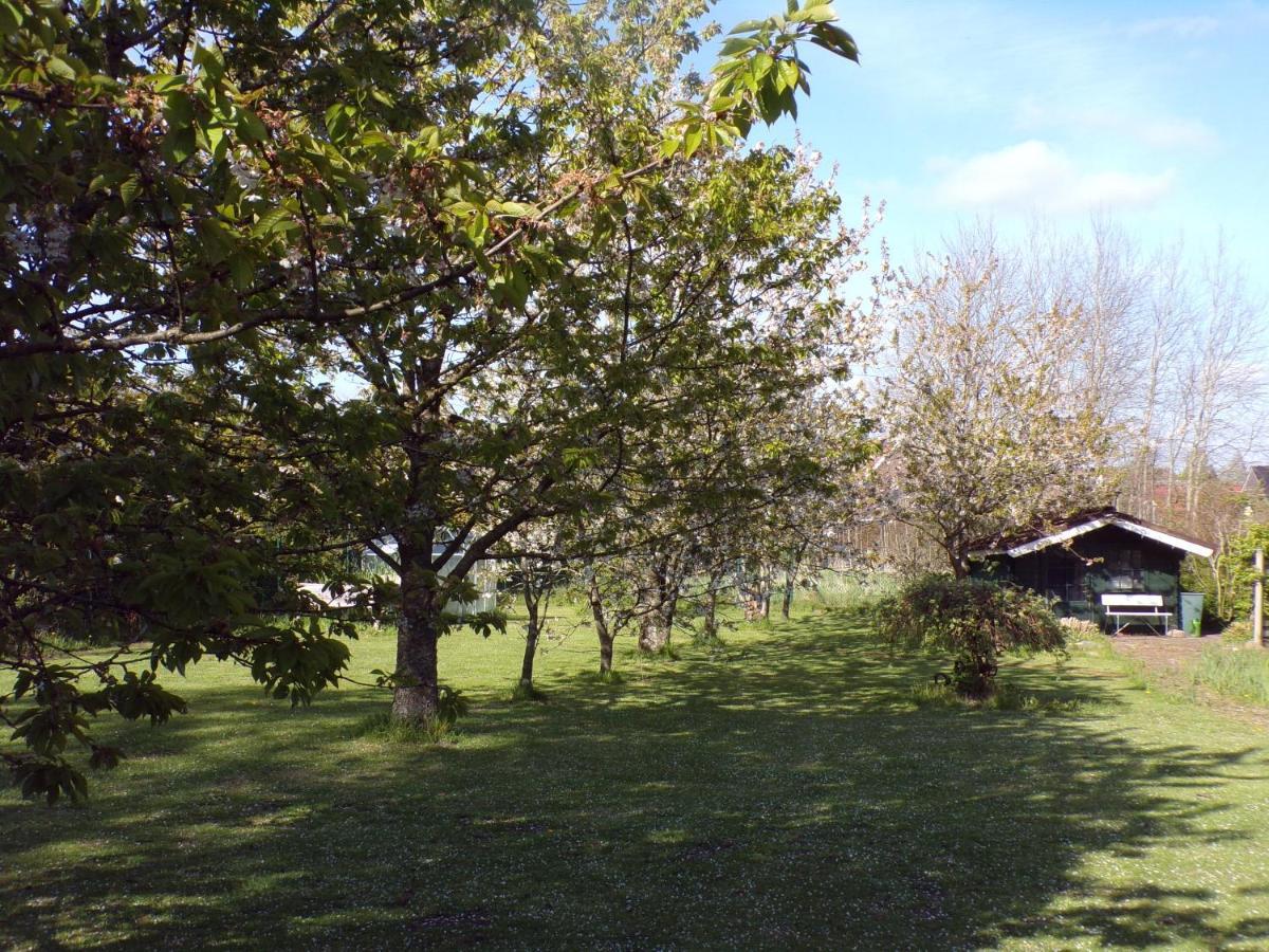 Ferienwohnung Aurich Sandhorst Eg Mit Terrasse Und Kleinem Garten Eksteriør billede